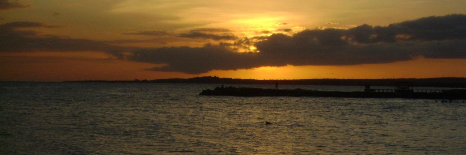 icpacheco's profile banner image