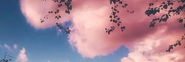 icedteelee's profile banner image