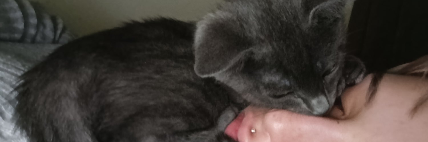 barbiech0la's profile banner image