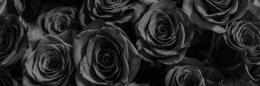 ims0dax's profile banner image