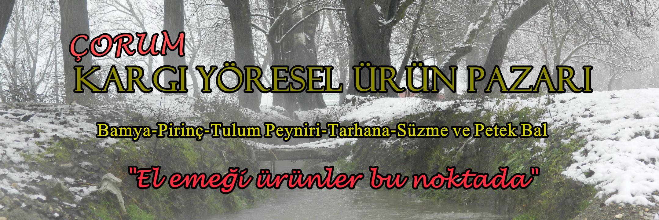 Kargiyoresel's profile banner image
