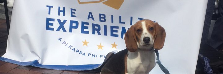 NovaPiKapp's profile banner image
