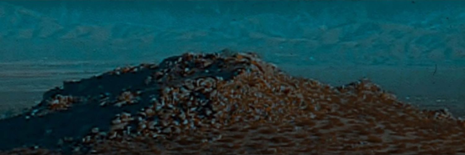 Mally_Elizabeth's profile banner image