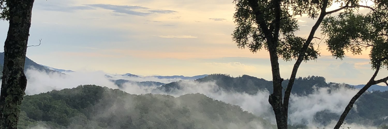 owenthestone's profile banner image