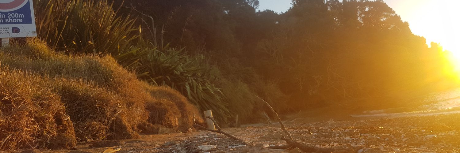 Warp_Crazy's profile banner image