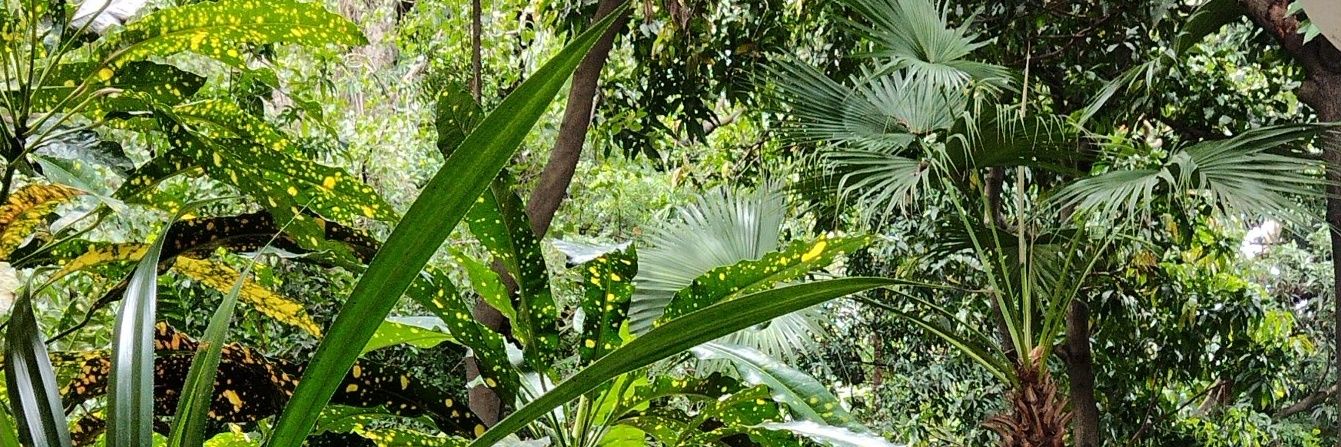 utkarsh499's profile banner image