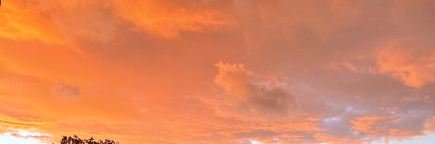 zyxtima's profile banner image