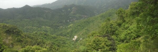 zilahdi Profile Banner