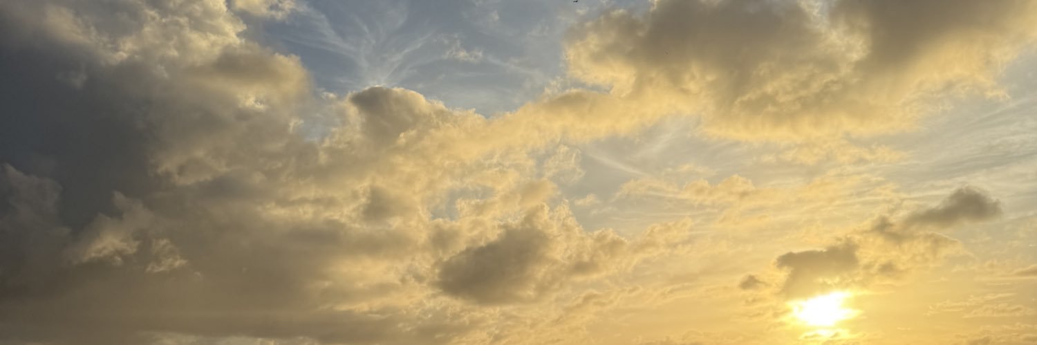 fjollabela's profile banner image