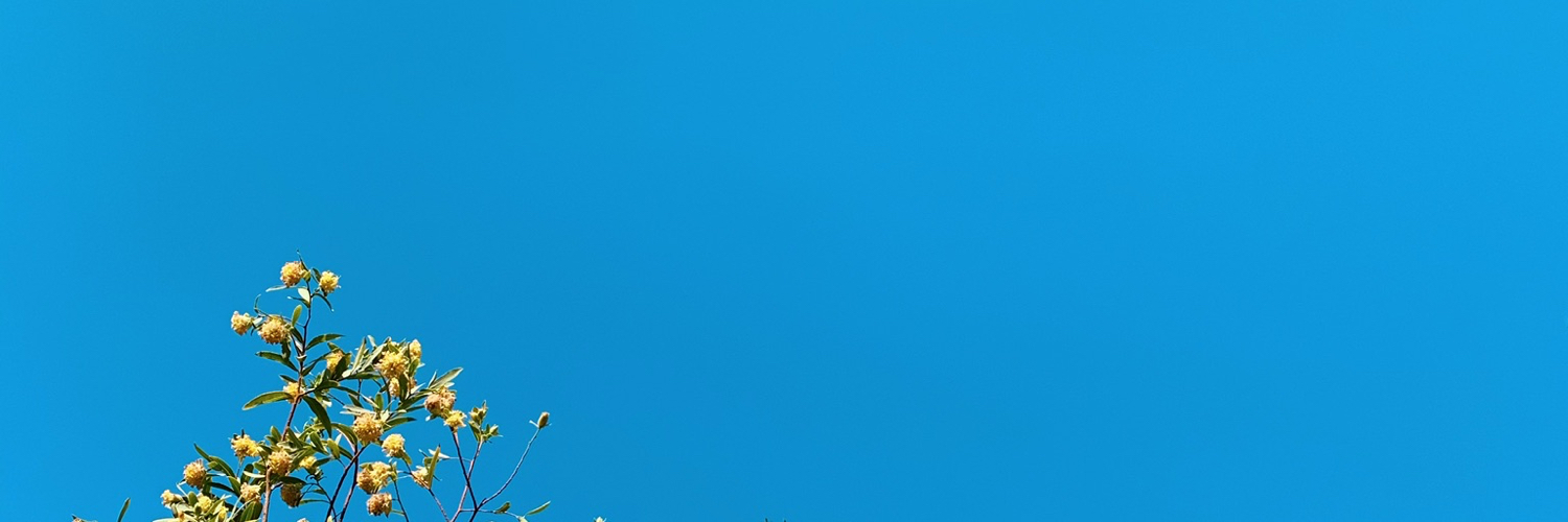 PashamAlwani's profile banner image