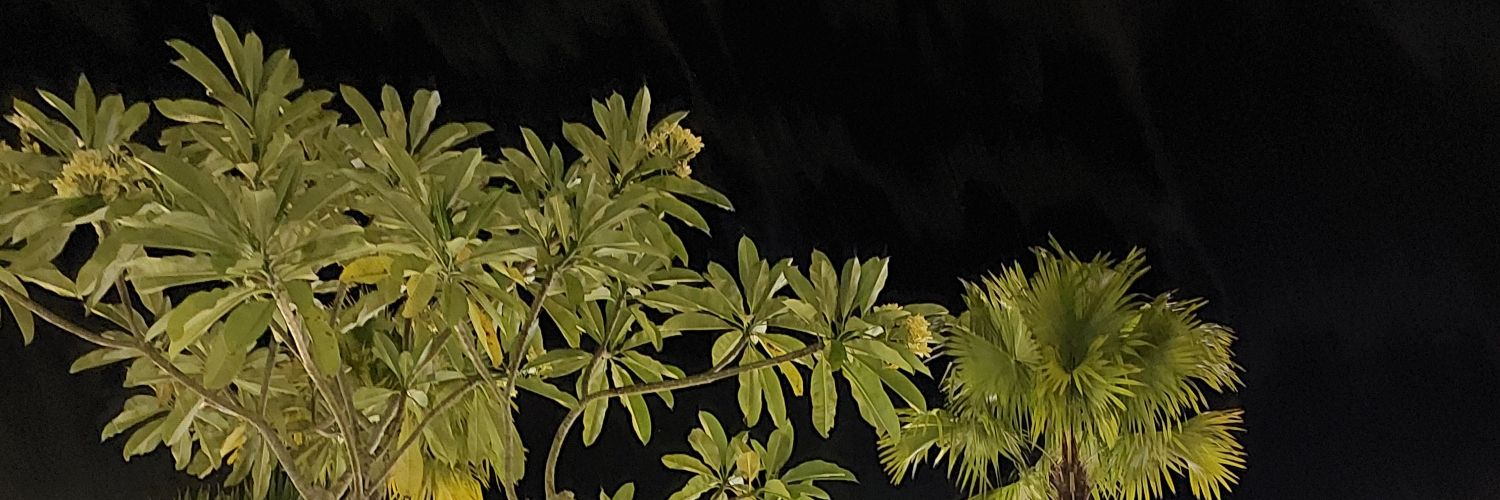 nosiglosia's profile banner image