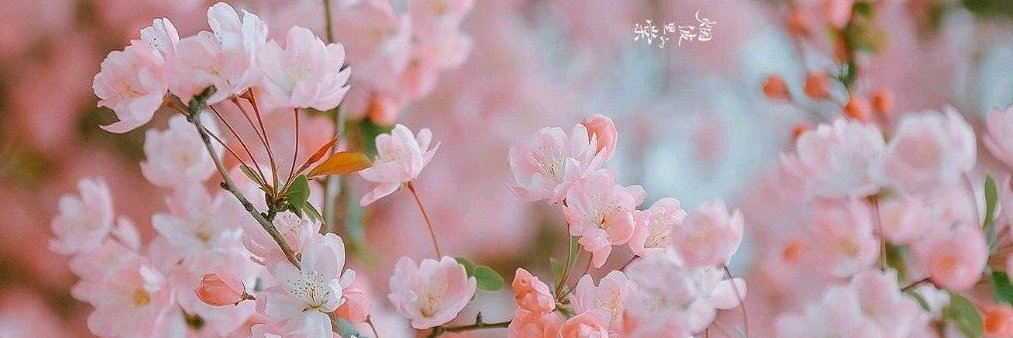 wenexgi's profile banner image