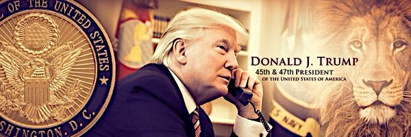 ZiffyKat Profile Banner