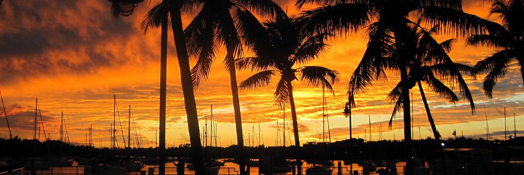 BandTheftAudio banner