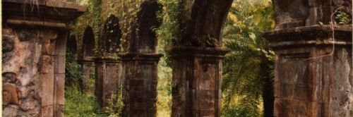 Theodora Black banner