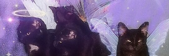 emraebeck's profile banner image