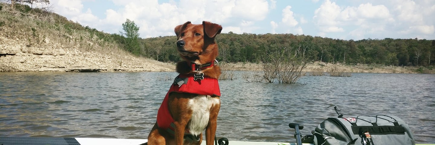 JosephSeastrom's profile banner image