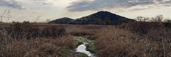 RunningTrailsx Profile Banner