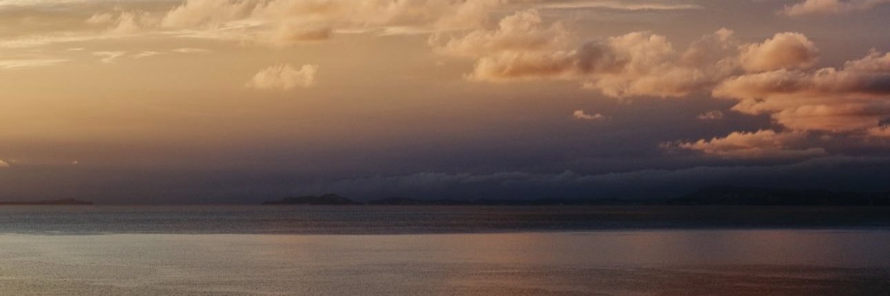 idvz_'s profile banner image
