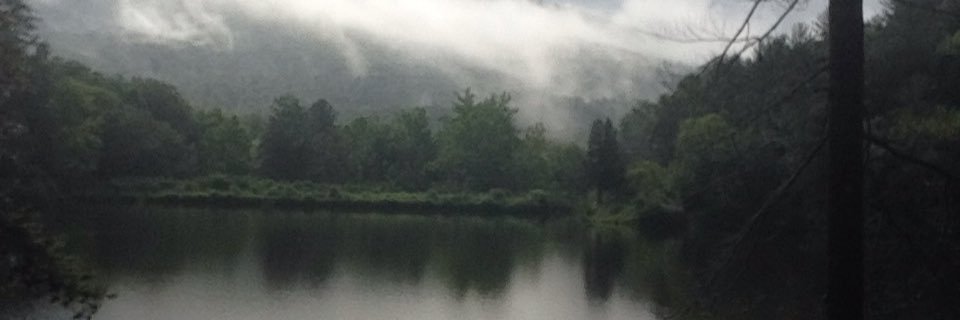 LoFiSnephop's profile banner image