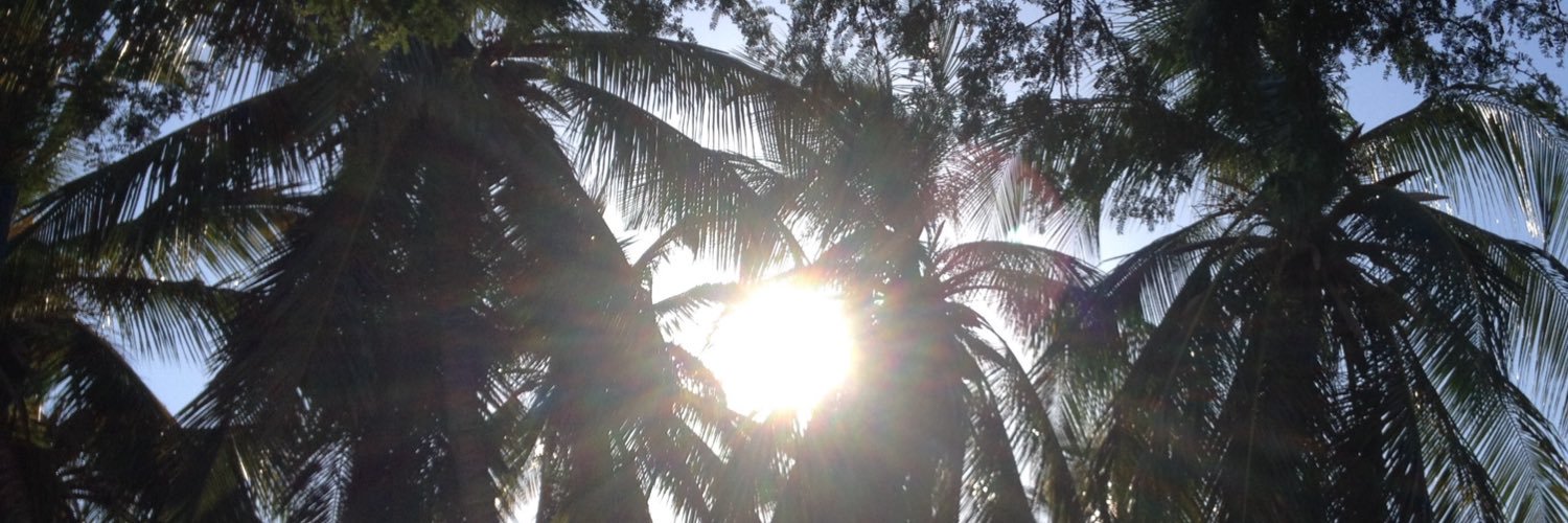 Sanchexander's profile banner image