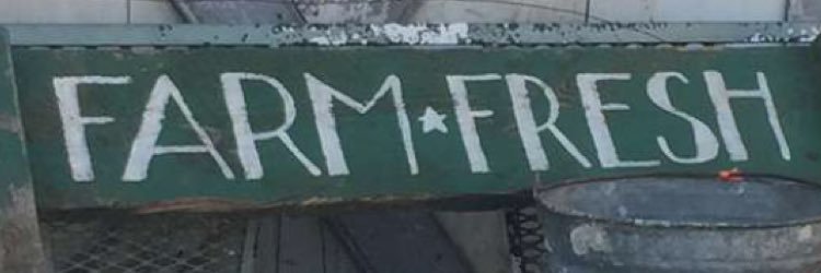 icffpt's profile banner image