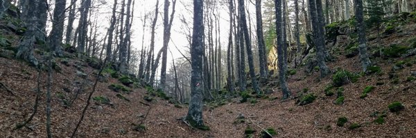 IsmaelRafols Profile Banner