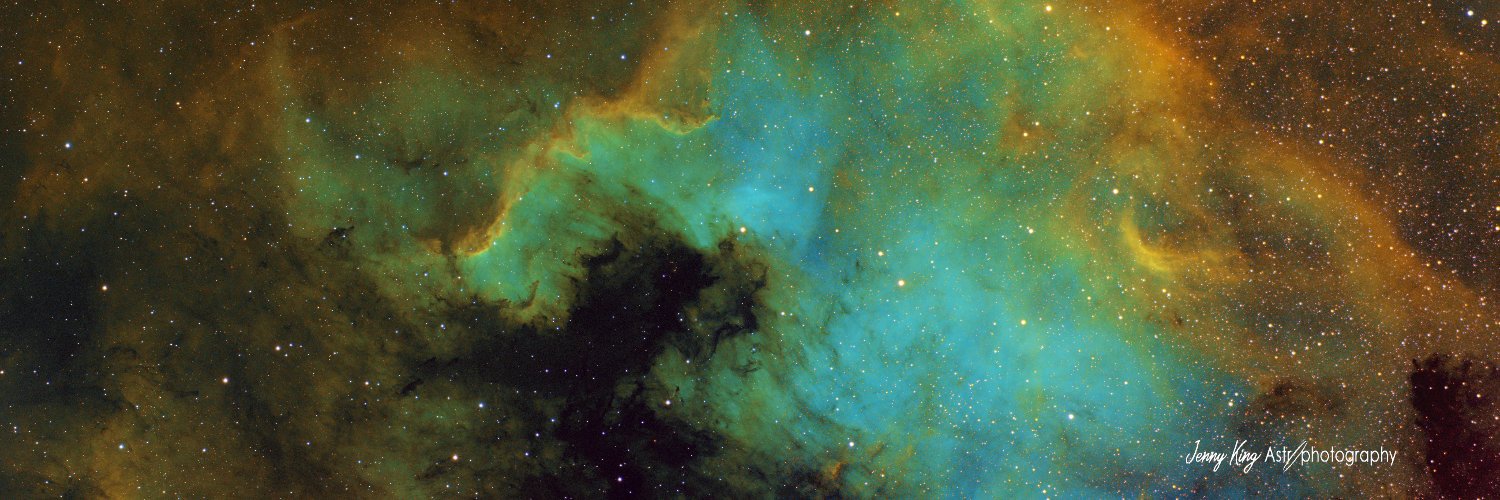 Jenny 🦖🪐🐡 banner