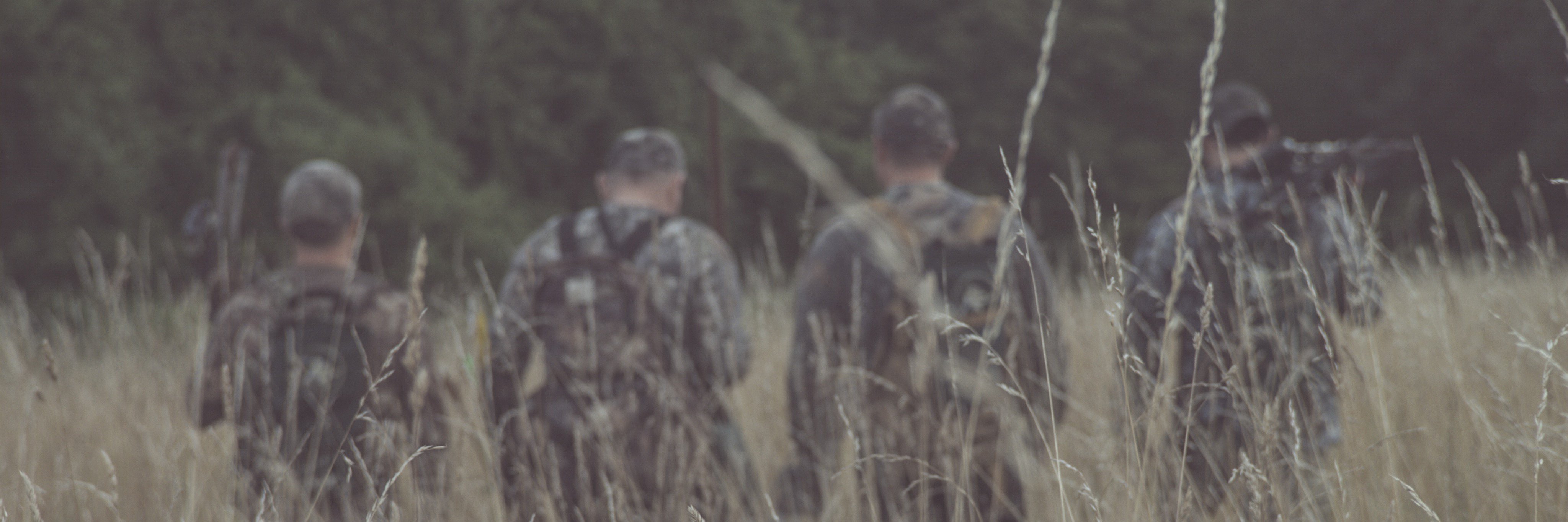 wild_edge_inc's profile banner image