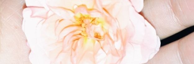 Never_Ending_oo's profile banner image