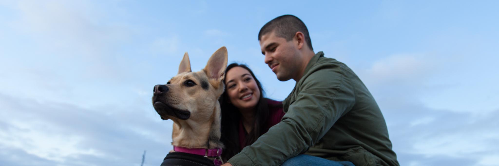 MutualRescue's profile banner image