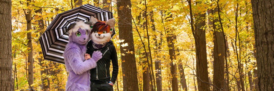 foXykin's profile banner image