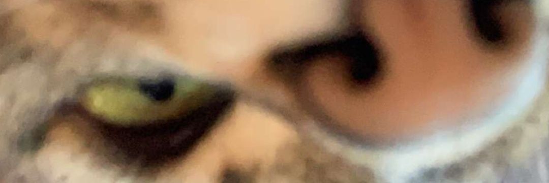 benEST19xx's profile banner image