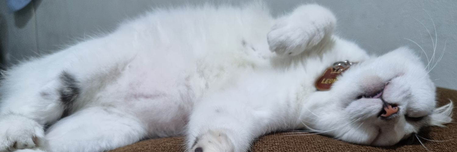 rezapebriyandi's profile banner image