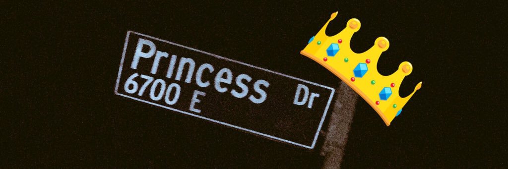princesssd95's profile banner image