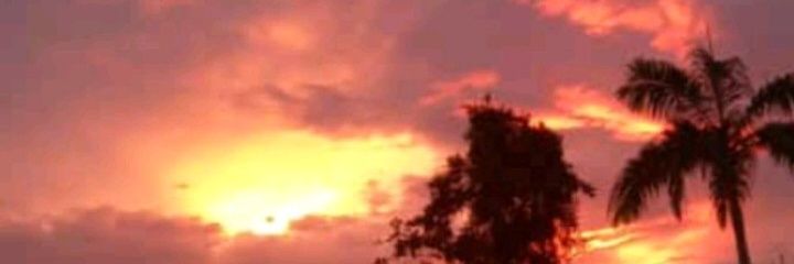 marco_auday's profile banner image