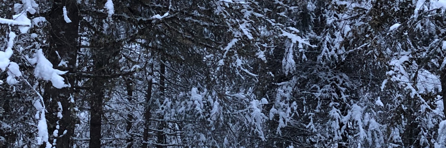 JaneMelear's profile banner image