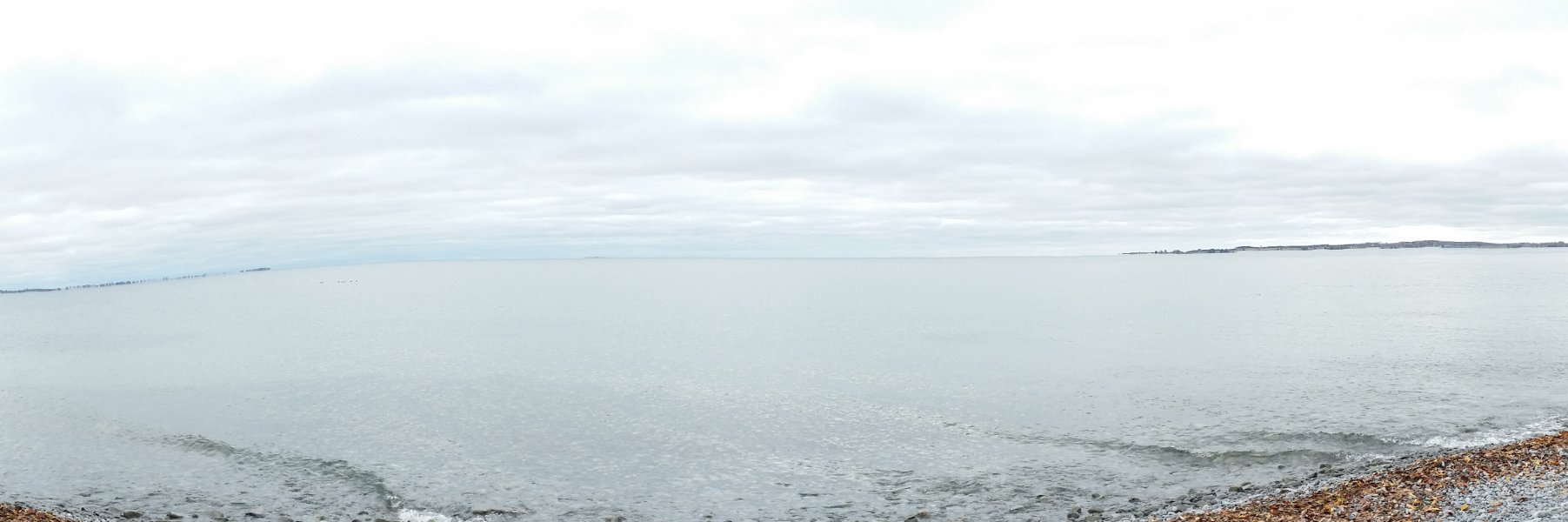 pattastone's profile banner image