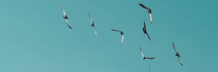 dennis_pw's profile banner image