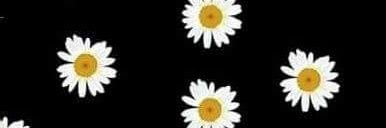 jeesygutierrez's profile banner image
