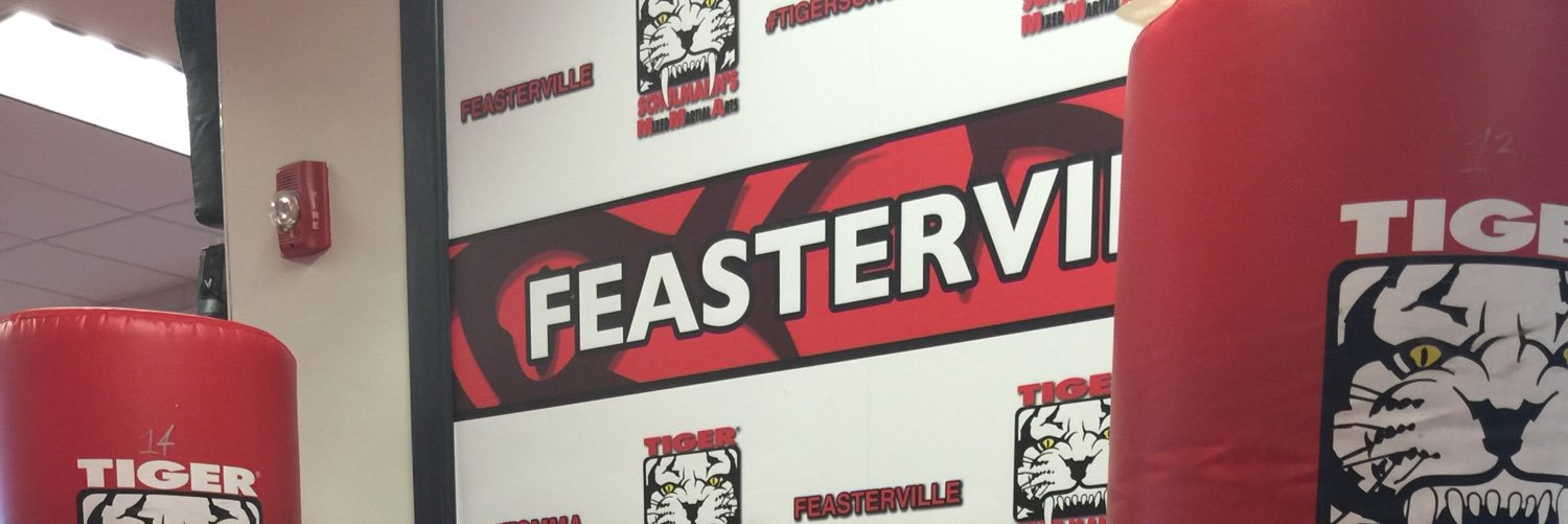 feastervillemma's profile banner image