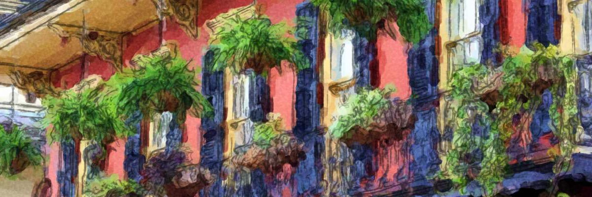 SarahhProcopio's profile banner image
