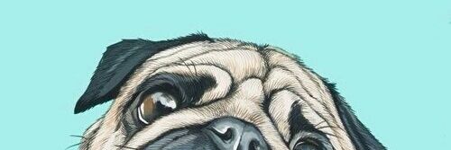 daisysikk's profile banner image