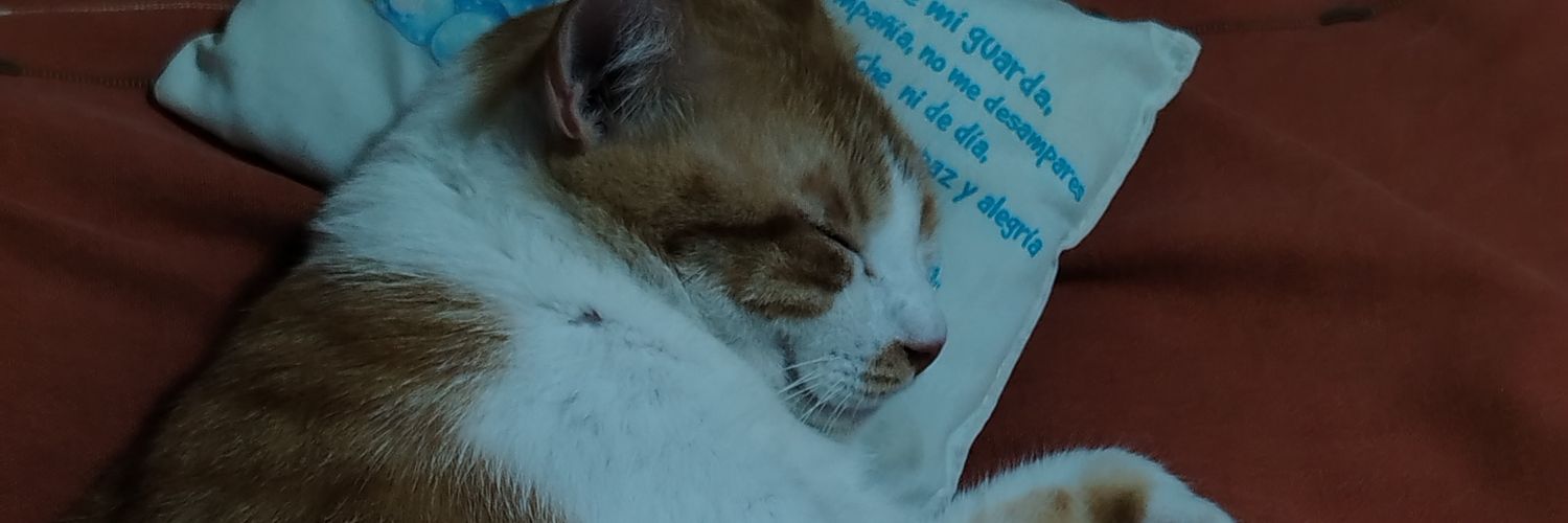salchipapa05's profile banner image