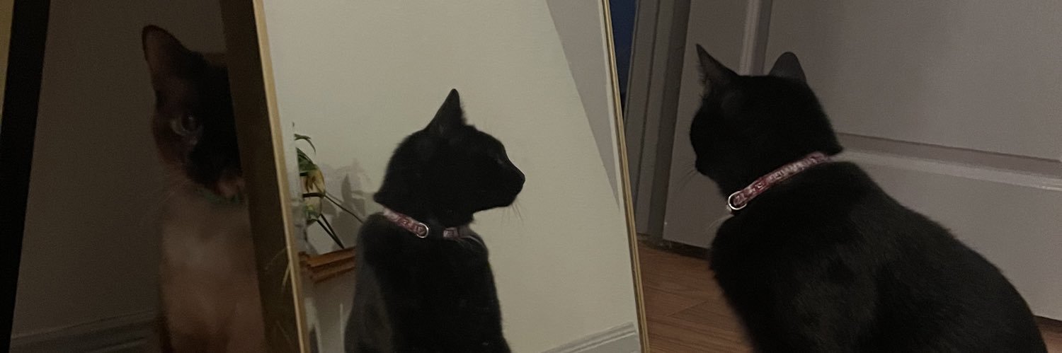 peppermintpvtty's profile banner image