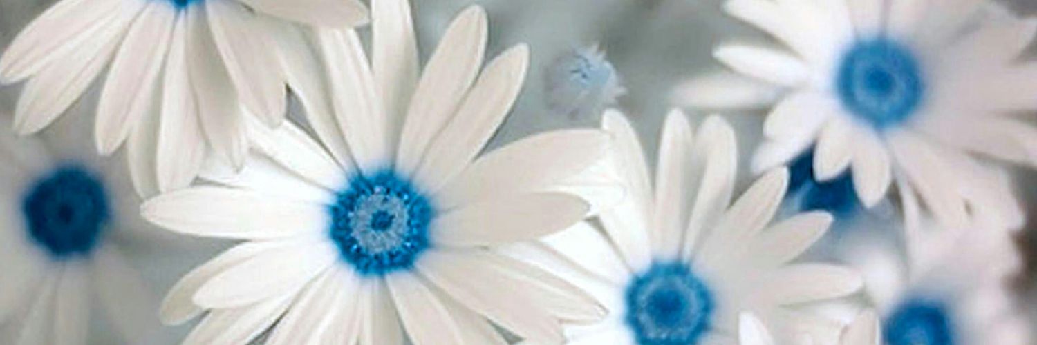 icttamiham's profile banner image