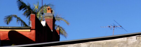 chrischesher Profile Banner