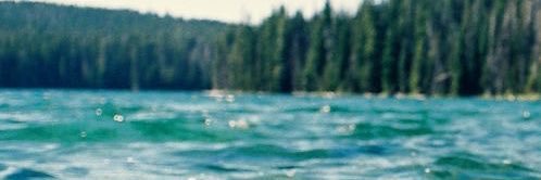 madisonzag's profile banner image