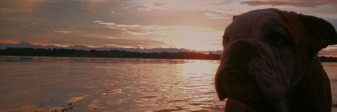 EmilyJTeixeira's profile banner image