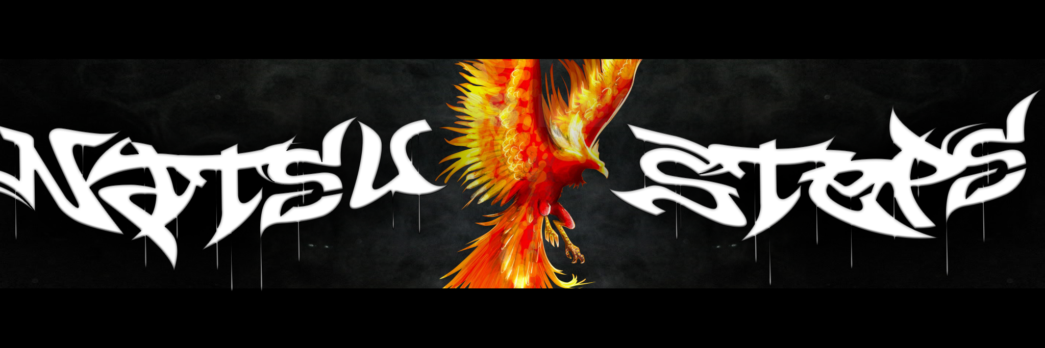 StePFeeder's profile banner image